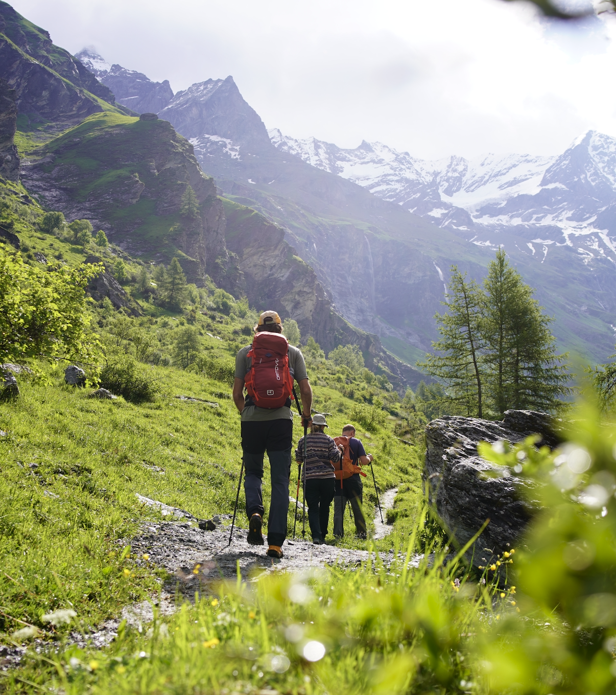Summer in the Alps
